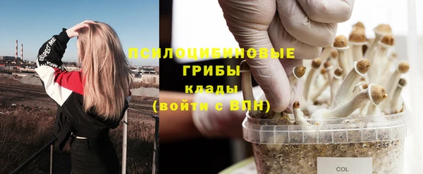 сатива Абдулино