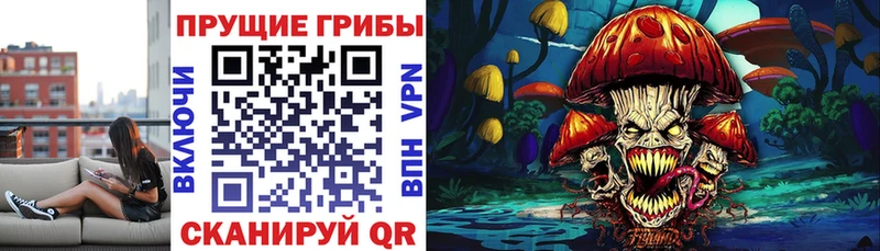 Псилоцибиновые грибы ЛСД Щёлкино